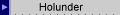 Holunder